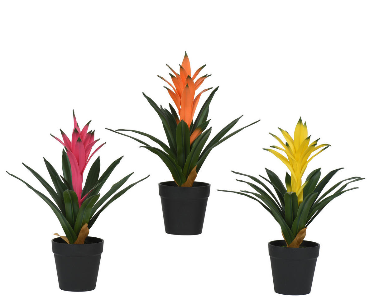 Plantă Artificială - Basics (11,00/11,00/32,00cm)