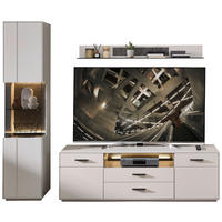 WOHNWAND 3-teilig  in Anthrazit, Hellgrau  240/204/45 cm  - Anthrazit/Hellgrau, Design, Glas/Holzwerkstoff (240/204/45cm) - Novel