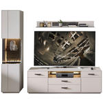 WOHNWAND 3-teilig  in Anthrazit, Hellgrau  240/204/45 cm  - Anthrazit/Hellgrau, Design, Glas/Holzwerkstoff (240/204/45cm) - Novel