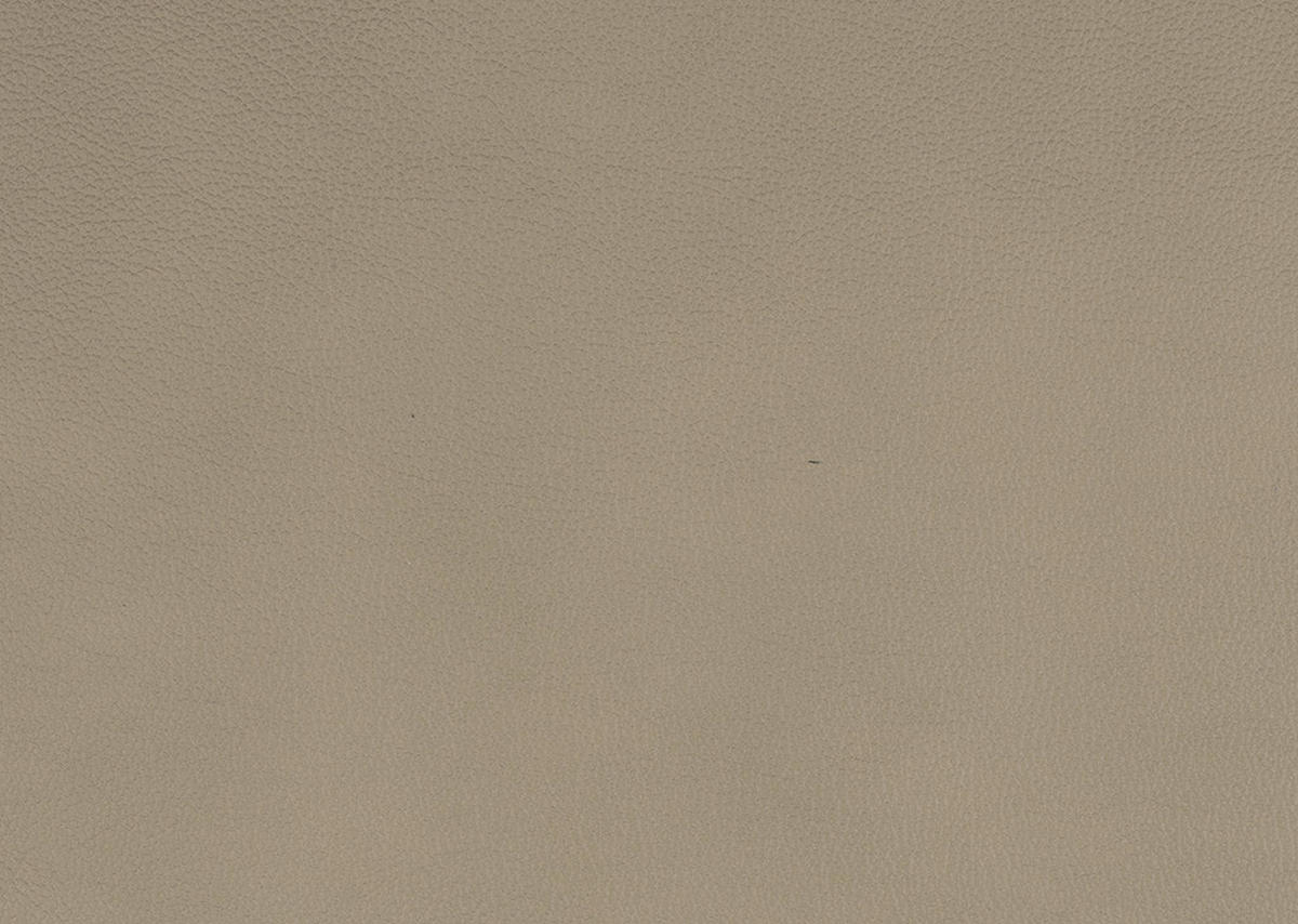 WOHNLANDSCHAFT in Echtleder Hellbraun  - Hellbraun/Schwarz, Design, Leder/Metall (206/336/181cm) - Beldomo Speed