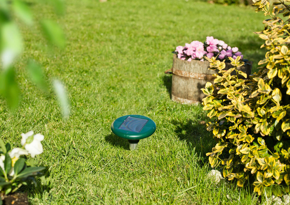 MAULWURFVERTREIBER - Grün, Basics, Kunststoff (160cm)