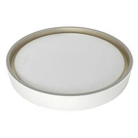 LED PLAFONJERA LEAH  - bela, Osnovno, plastika (40/8cm)