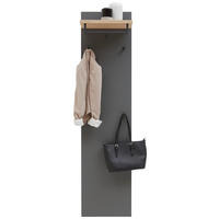 GARDEROBENPANEEL  in 42/170/27 cm  - Eichefarben/Grau, Design, Holz/Holzwerkstoff (42/170/27cm) - Dieter Knoll