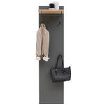 GARDEROBENPANEEL  in 42/170/27 cm  - Eichefarben/Grau, Design, Holz/Holzwerkstoff (42/170/27cm) - Dieter Knoll