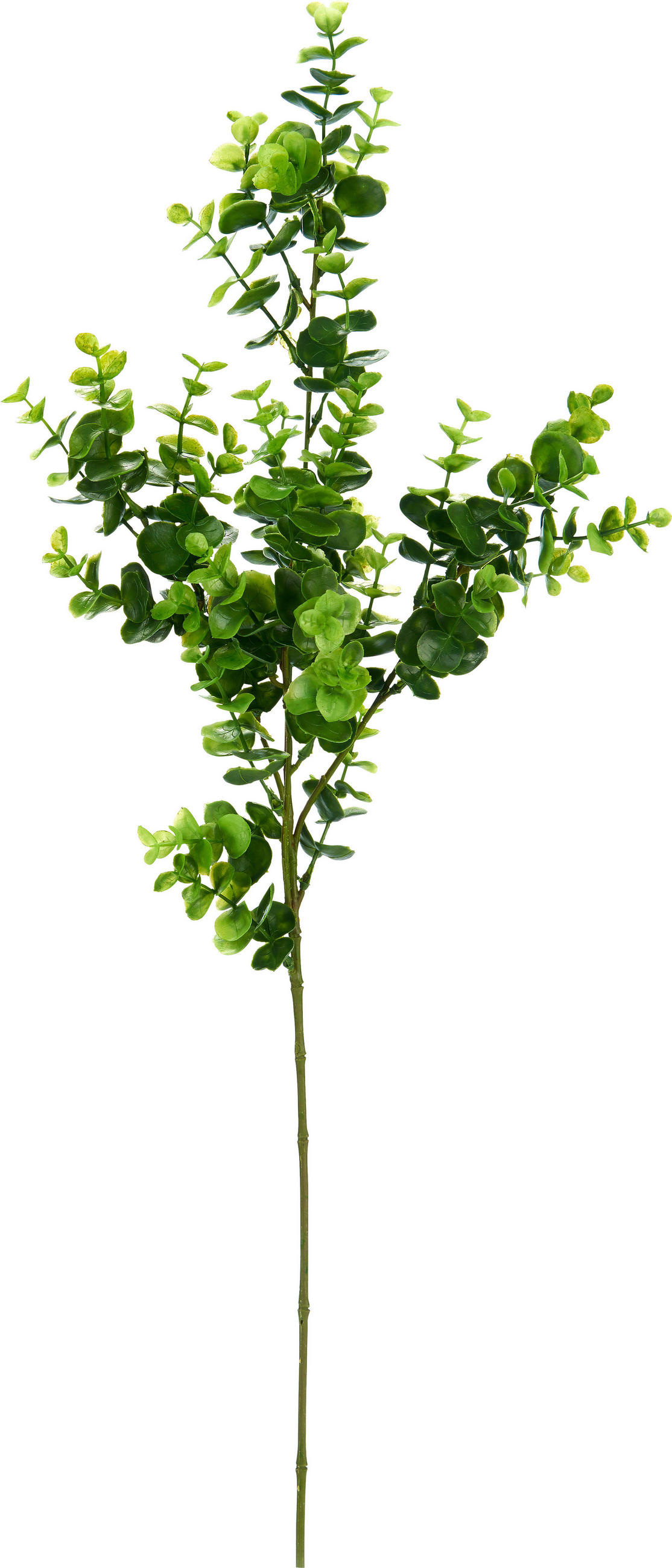 UMETNA ROŽA - zelena, Basics, umetna masa (70cm)