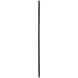 WANDSPIEGEL 90/180/3 cm    in rechteckig  - Schwarz, Trend, Glas/Holzwerkstoff (90/180/3cm) - Landscape