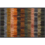 FUßMATTE  50/75 cm  Multicolor  - Multicolor, KONVENTIONELL, Kunststoff/Textil (50/75cm) - Esposa