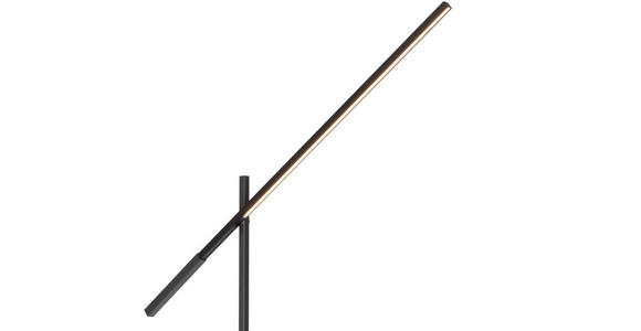 LED-STEHLEUCHTE 27-150/19/162-248 cm - Schwarz, Design, Metall (27-150/19/162-248cm) - Dieter Knoll