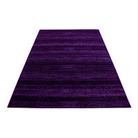 WEBTEPPICH 120/170 cm Plus 8000 Lila  - Lila, Design, Textil (120/170cm) - Novel