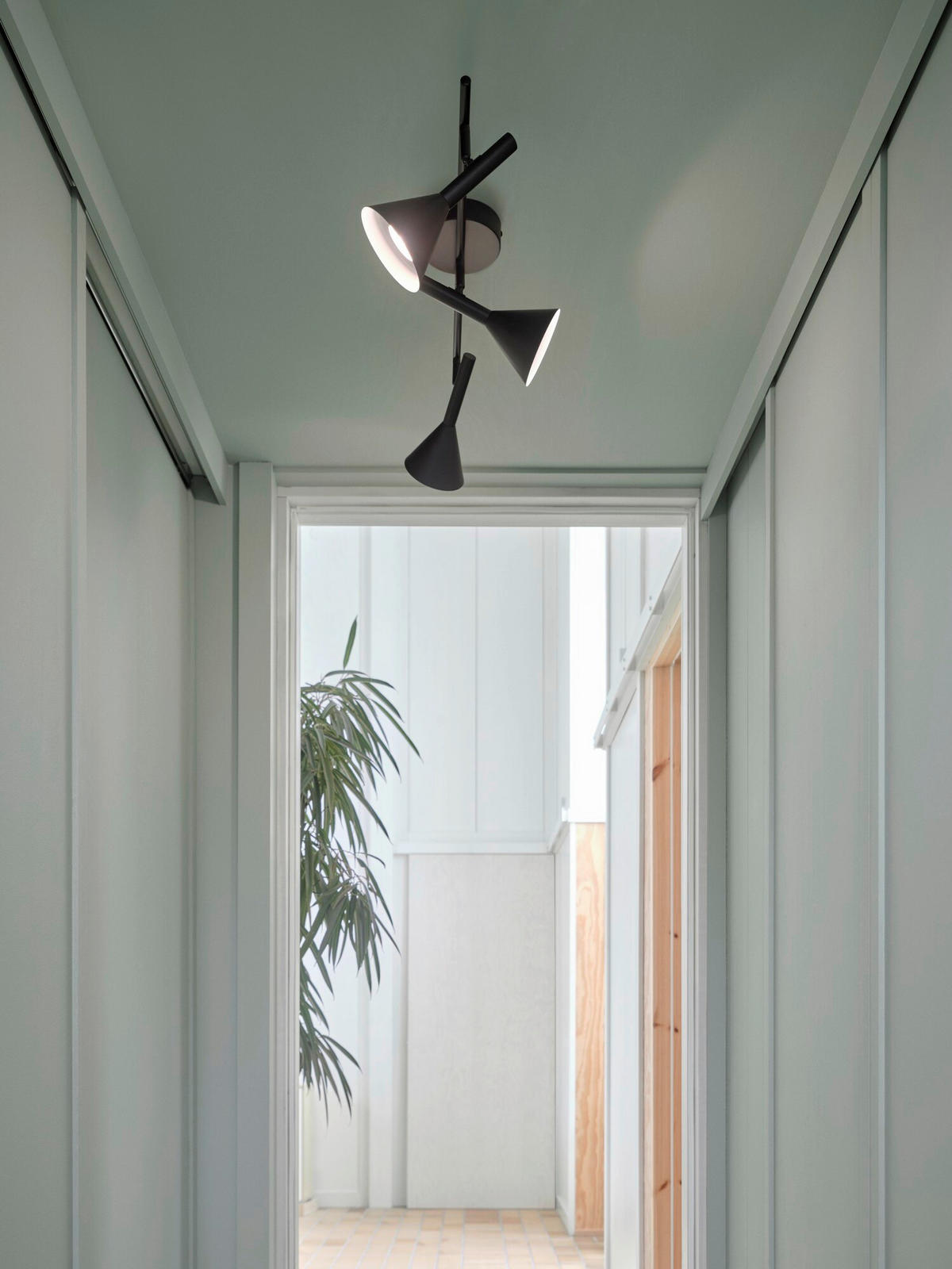 DECKENLEUCHTE Kelvis 25/12/68 cm  - Blau, Design, Glas (25/12/68cm) - Nordlux