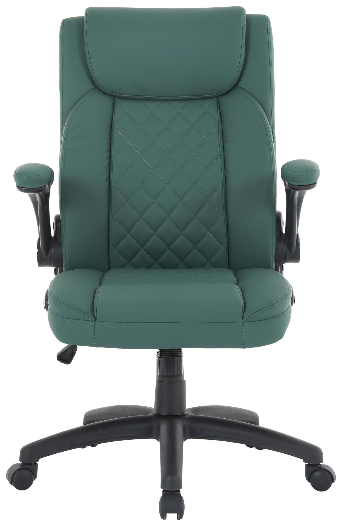 Carryhome Executive Chair in Dark Green Leather Look