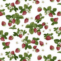 BORDSDUK plast röd, vit  - vit/röd, Basics, plast (140cm) - Best Price