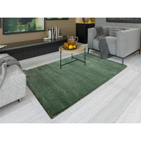 WEBTEPPICH 200/290 cm Grün  - Grün, Basics, Textil (200/290cm) - Novel
