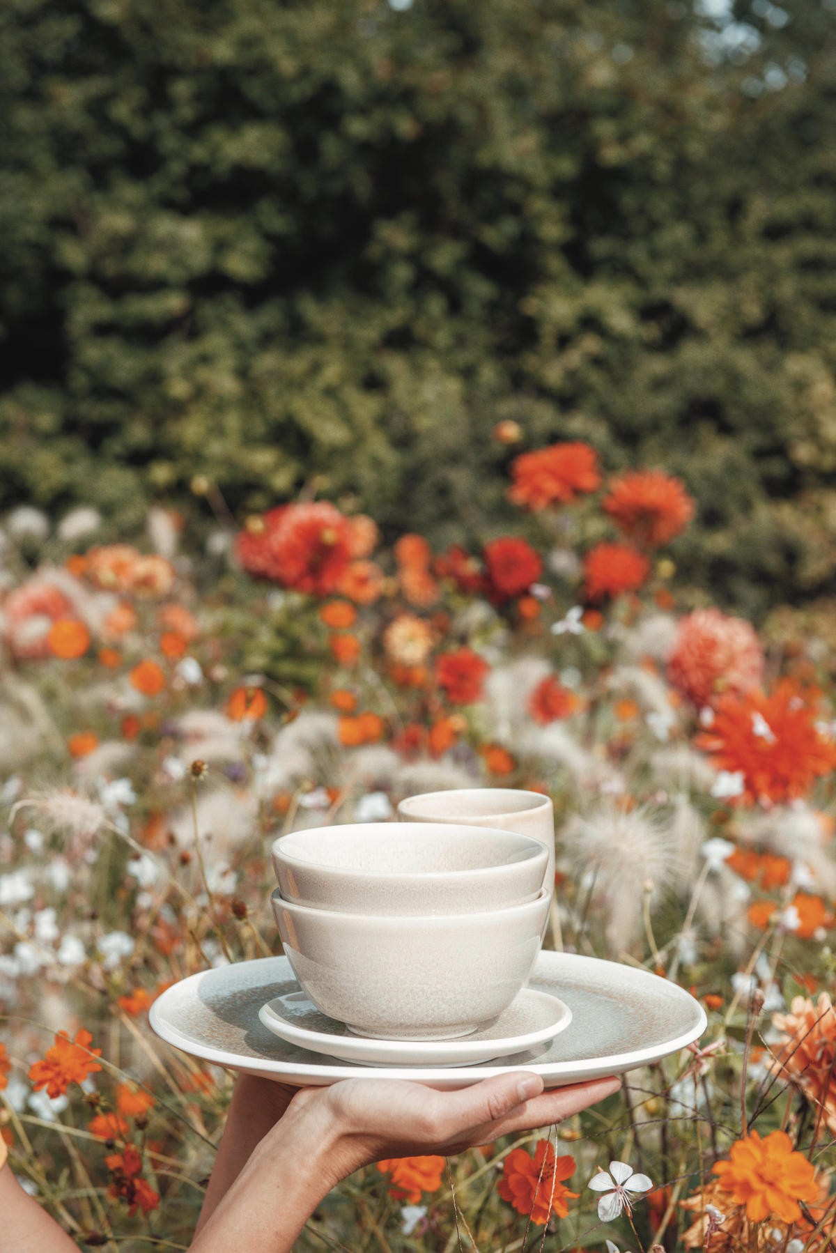 SPEISETELLER Beige Junto Dune  - Beige, LIFESTYLE, Keramik (27/26/2,3cm) - Rosenthal