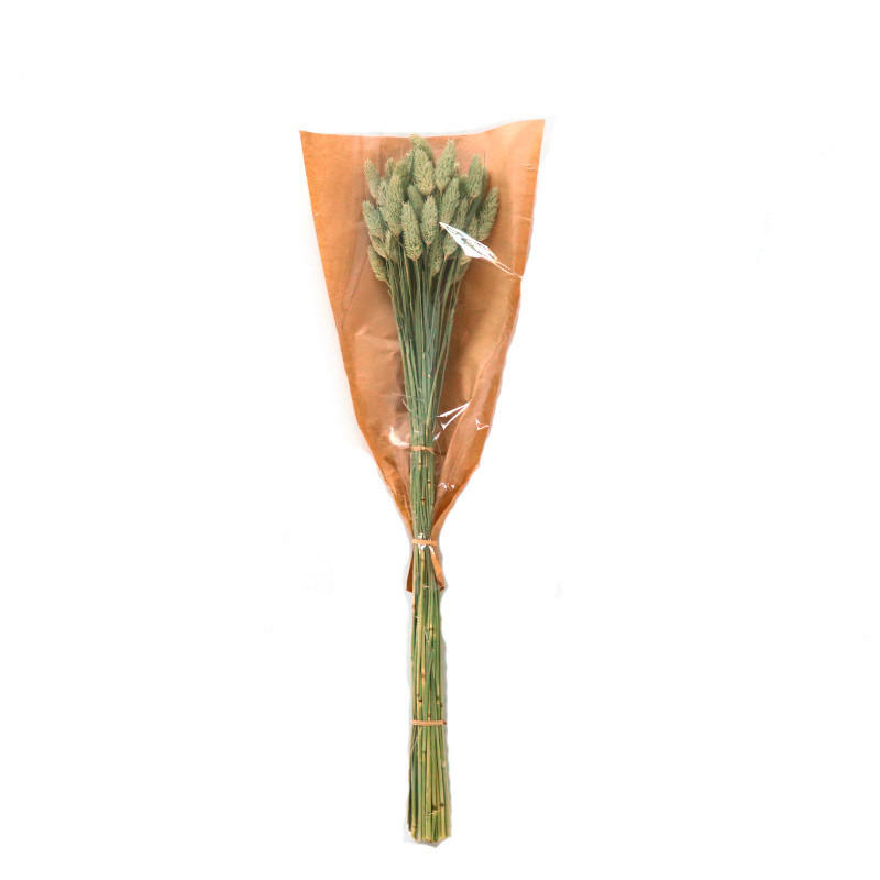 TROCKENBLUME - Naturfarben, Basics (60cm)