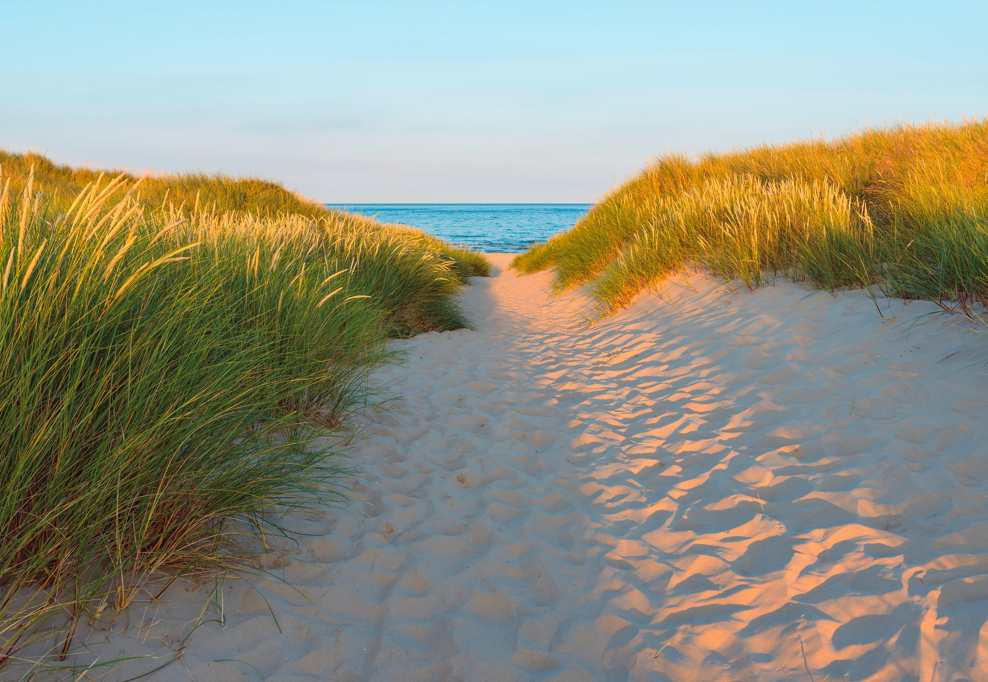 XXXL FOTOTAPETA velikost: 368/254 cm