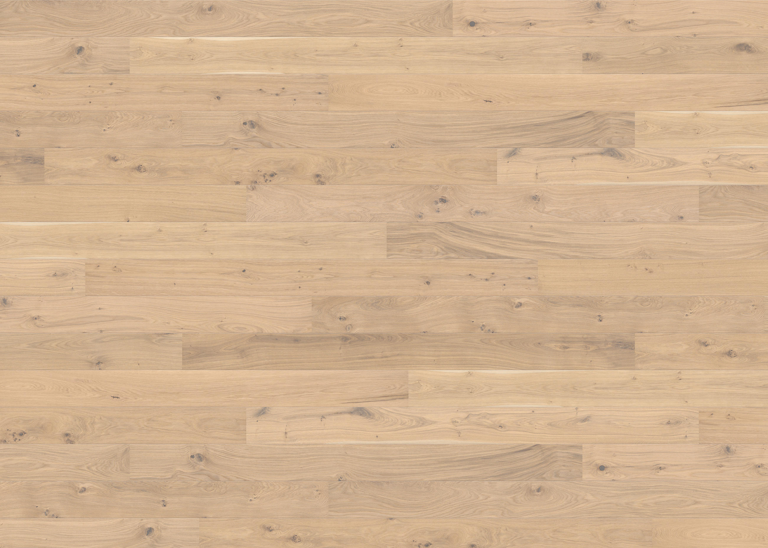 PARKETTBODEN Living by HARO PARKETT 2500 LA  per  m² - Hellbraun, Basics, Holzwerkstoff (18/220cm) - Living by HARO