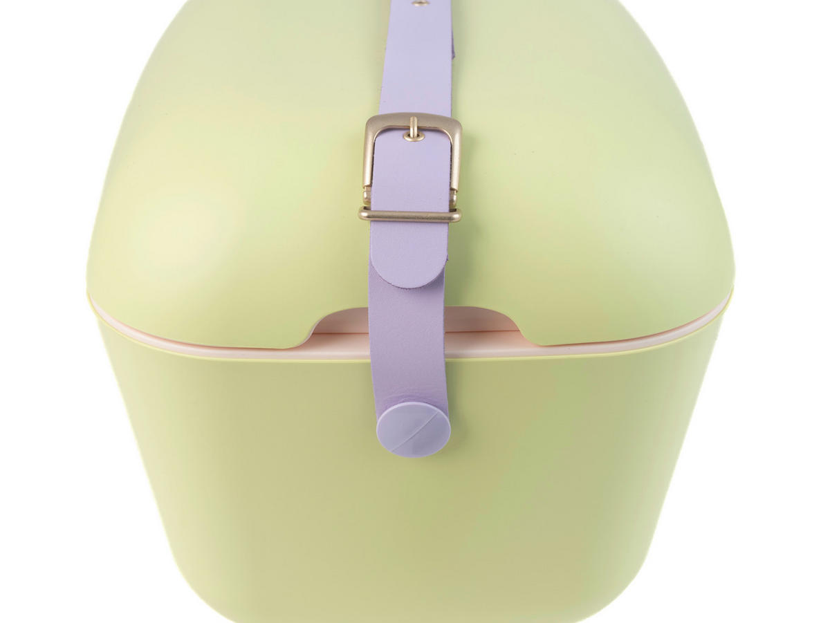 KÜHLBOX Limette 12 L  - Limette, Basics, Kunststoff (40/25.8/25.3cm) - Polarbox