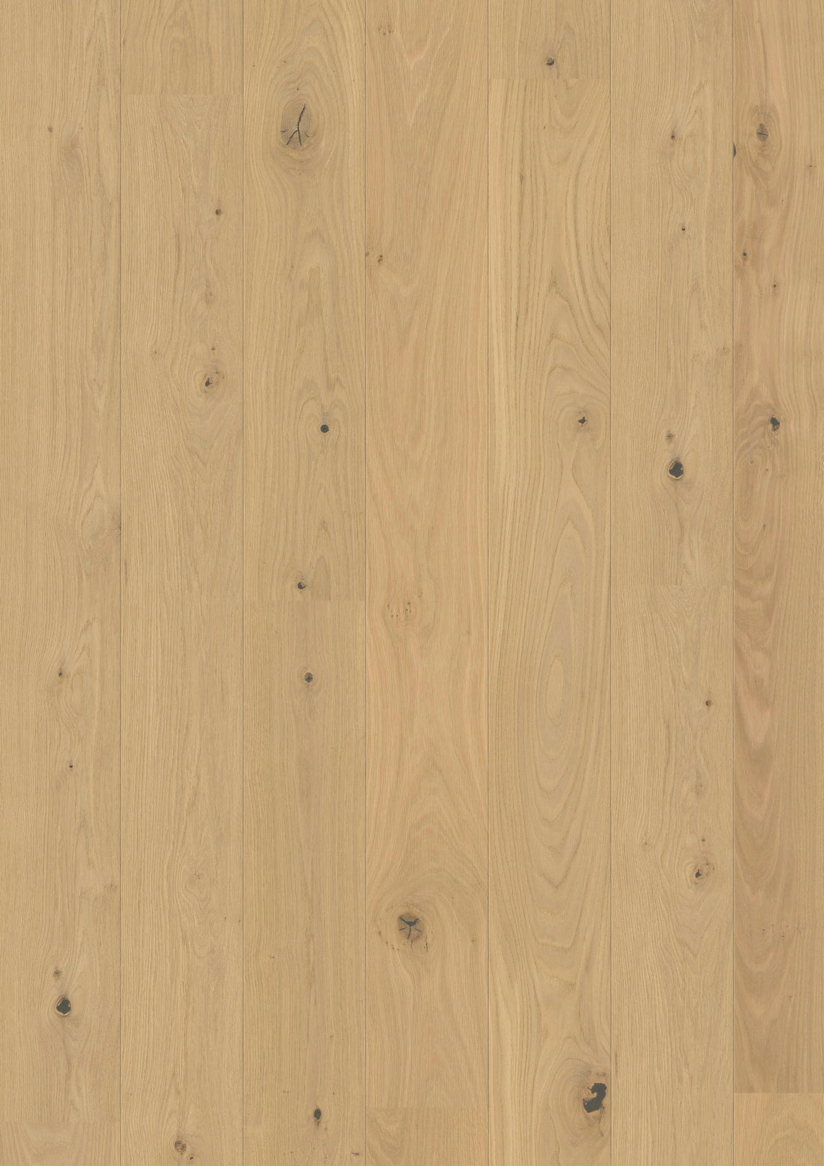 LANDHAUSDIELE MARCANTO TREND Eiche Natur!Pur 100064801  per  m² - Eichefarben, Design, Holz (220,5/17,6/1,3cm) - Tilo