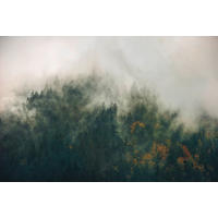 VLIESTAPETE  - Natur (300/200cm) - Komar