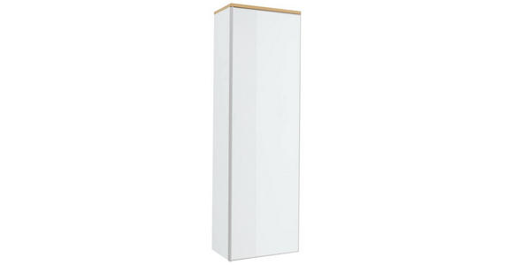 GARDEROBENSCHRANK 54/170/31 cm - Eichefarben/Silberfarben, Design, Glas/Holz (54/170/31cm) - Novel