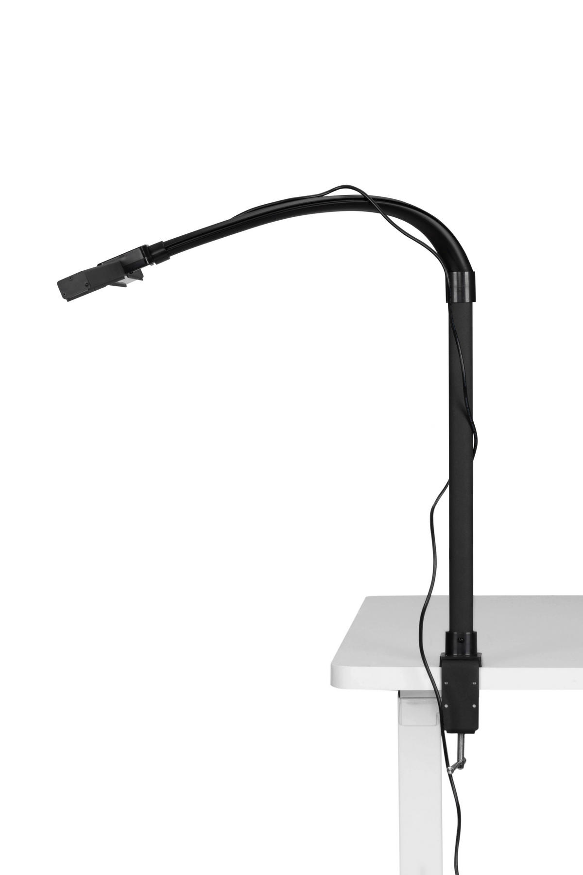 LED LAMPA SA ŠTIPALJKOM Hayward  - crna, Osnovno, metal/plastika (80/35/71,5cm) - Novel
