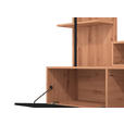 WOHNWAND  in Schwarz, Eiche Artisan  205,5/173/41,5 cm   - Schwarz/Eiche Artisan, KONVENTIONELL, Holzwerkstoff/Kunststoff (205,5/173/41,5cm) - Carryhome