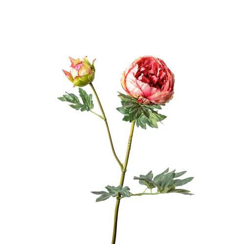 ROSE  - Dunkelrosa, Basics (78cm)