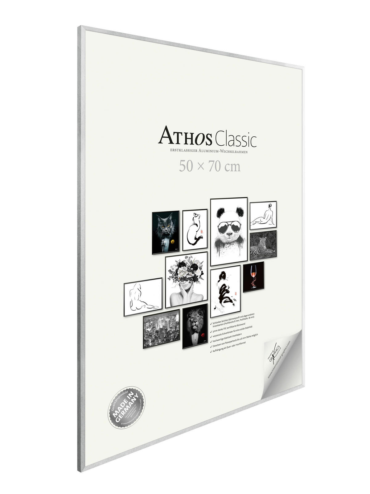 BILDERRAHMEN - Chromfarben, Basics, Papier/Holzwerkstoff (50/70/1,8cm)