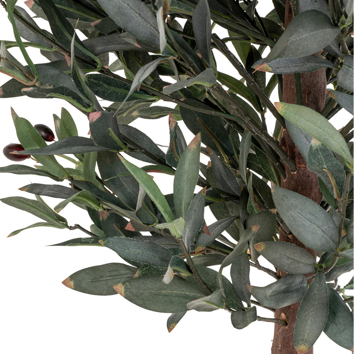 KUNSTPFLANZE Olive 150 cm  - Hellbraun/Schwarz, Basics, Kunststoff (150cm)