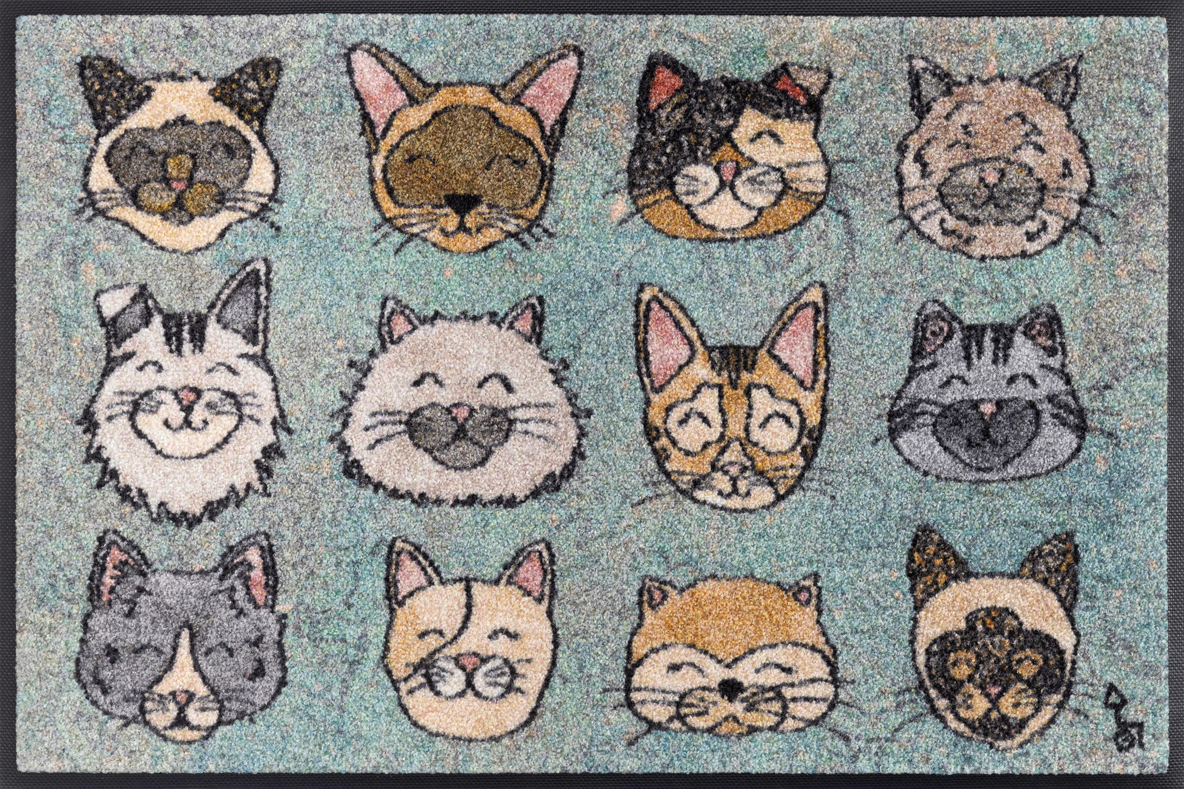 Covoraș De Intrare 50/75 cm