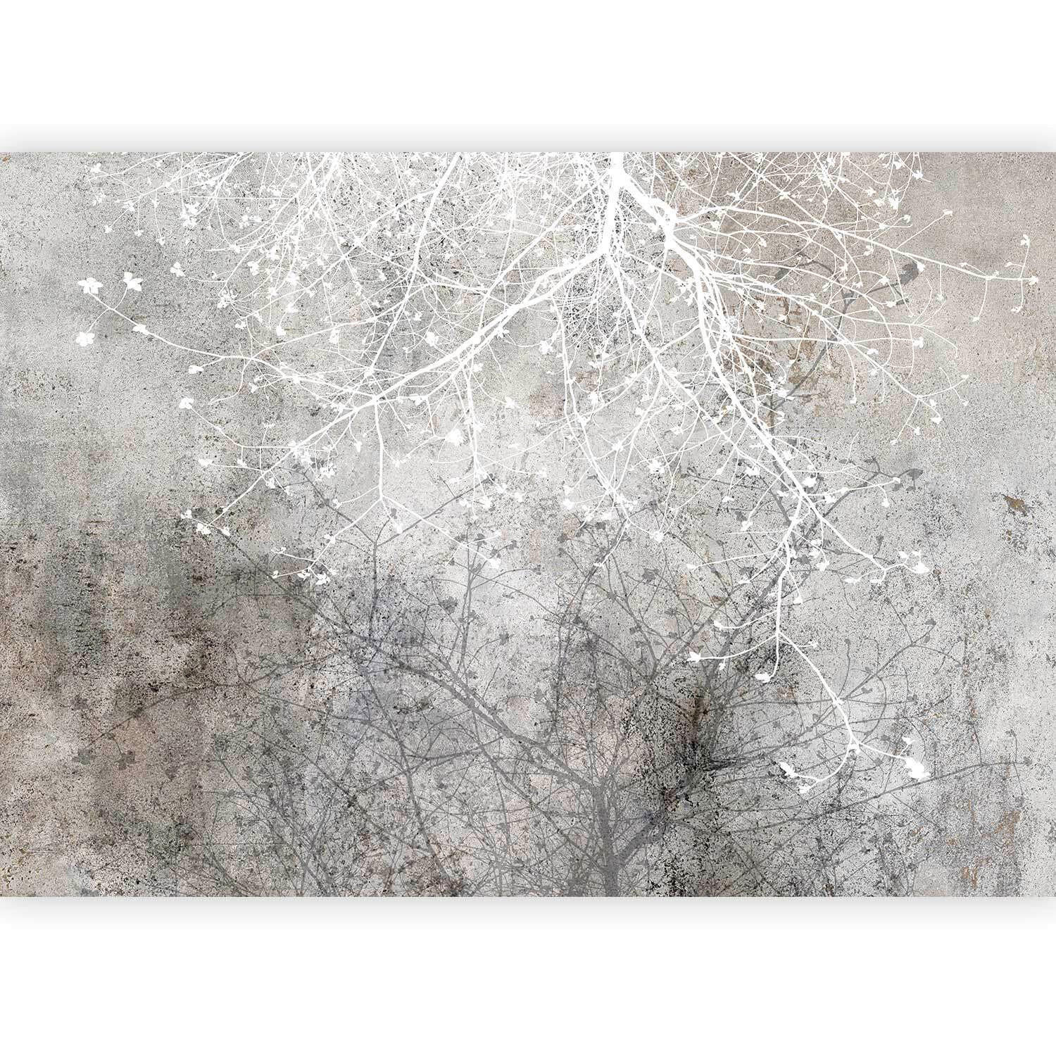 artgeist FOTOTAPETA velikost: 250/175 cm