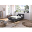 BETT 120/200 cm  in Grau  - Alufarben/Grau, Design, Holzwerkstoff/Metall (120/200cm) - Carryhome