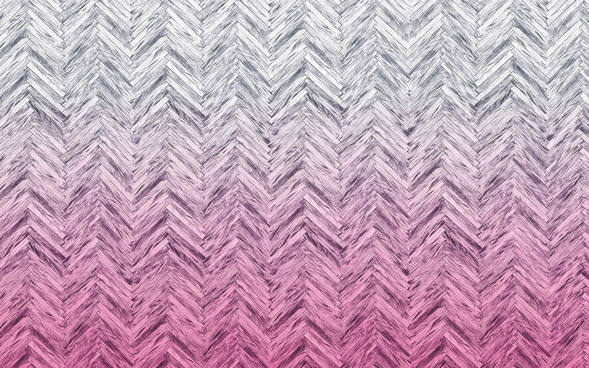 VLIESTAPETE  - Design (400/250cm) - Komar