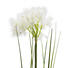 KUNSTBLUME - Creme/Grün, Basics, Kunststoff (83 cmcm) KUNSTBLUME - Creme/Grün, Basics, Kunststoff (83 cmcm)
