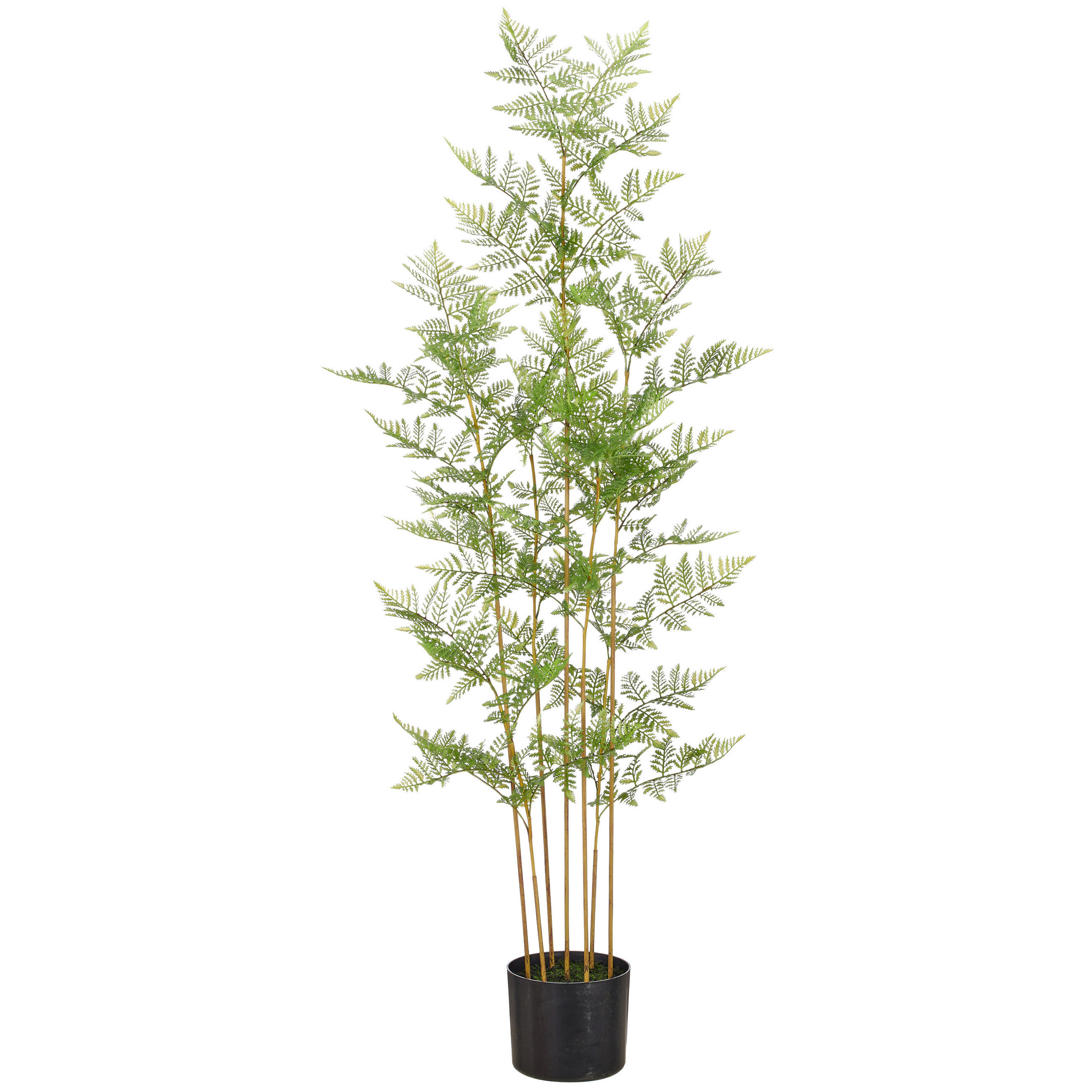 KUNSTPFLANZE Farn 120 cm  - Schwarz/Braun, Basics, Kunststoff (120cm)
