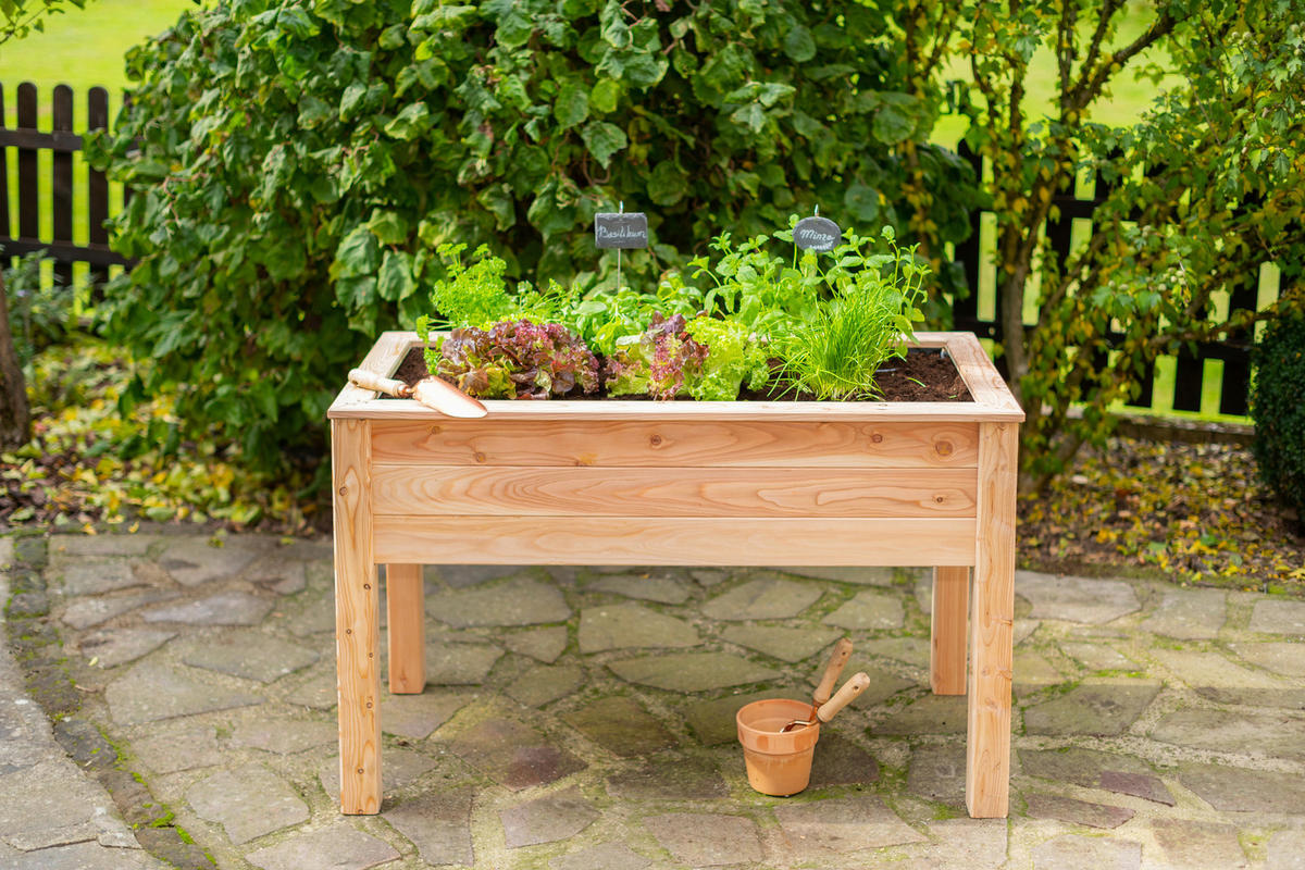 HOCHBEET  - Lärchefarben, Basics, Holz (120/75/65cm) - Ambia Garden