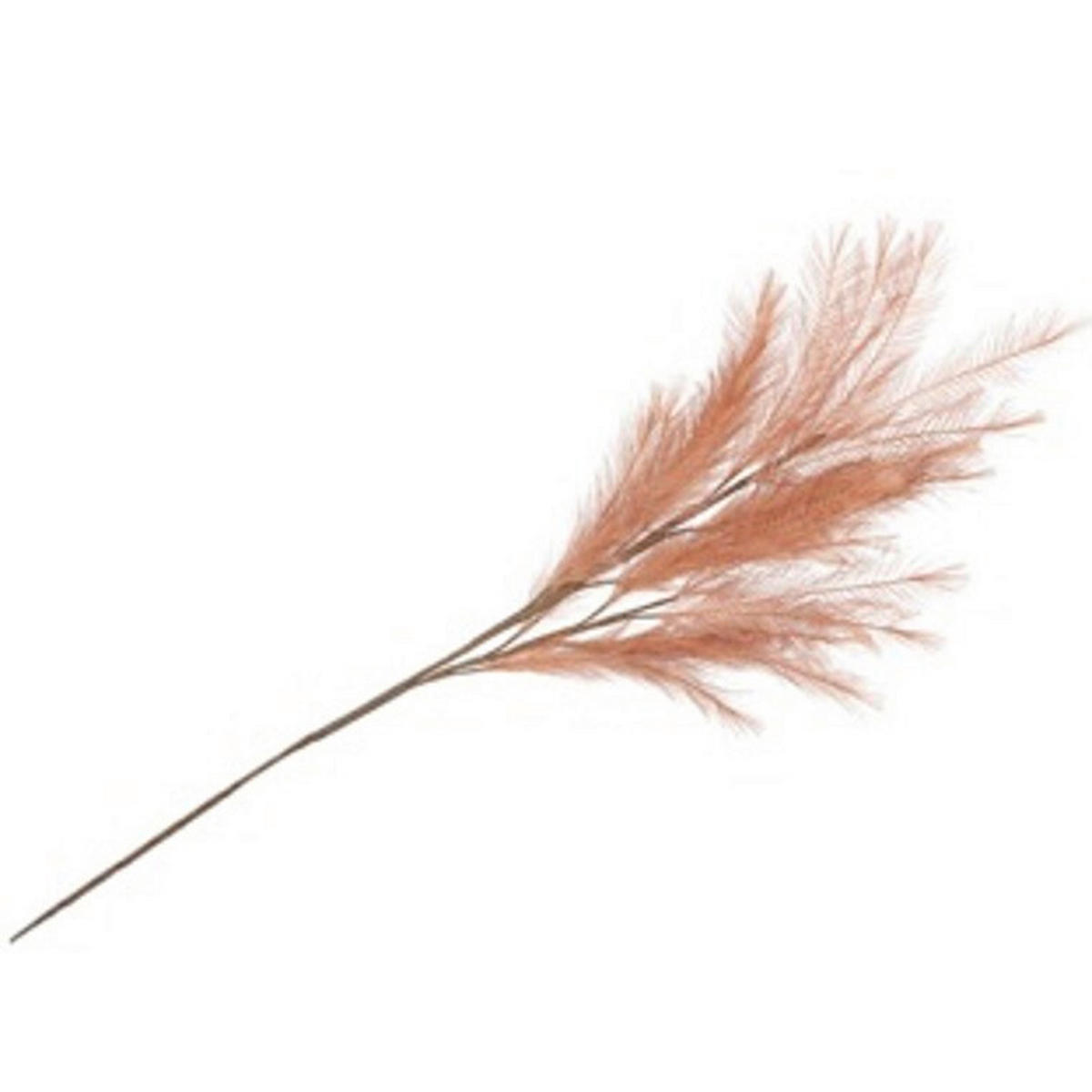 UKRASNA GRANA - konjak, Osnovno, plastika (10/30/100cm)