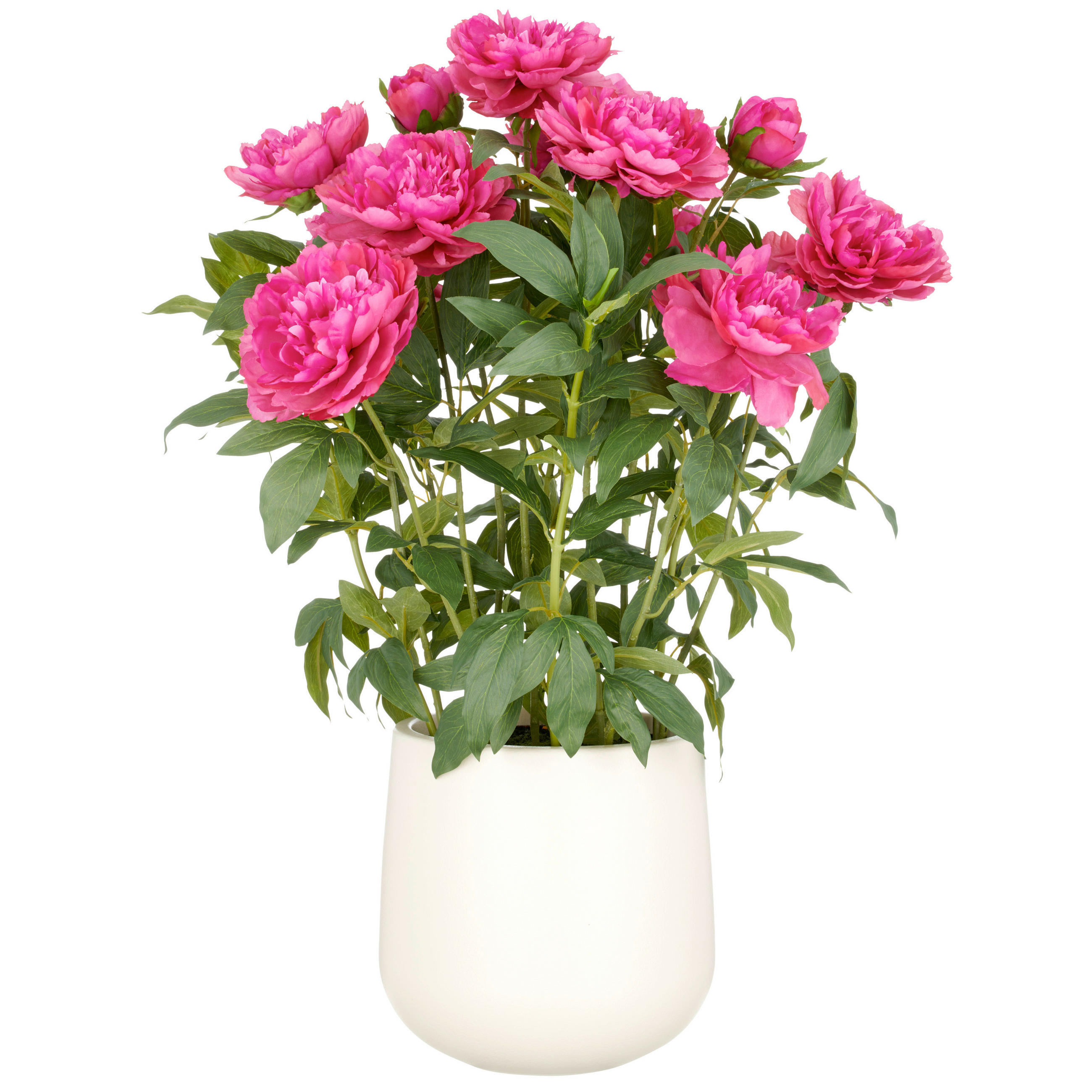 PFINGSTROSE - Pink/Magenta, Basics, Kunststoff/Textil (80cm)
