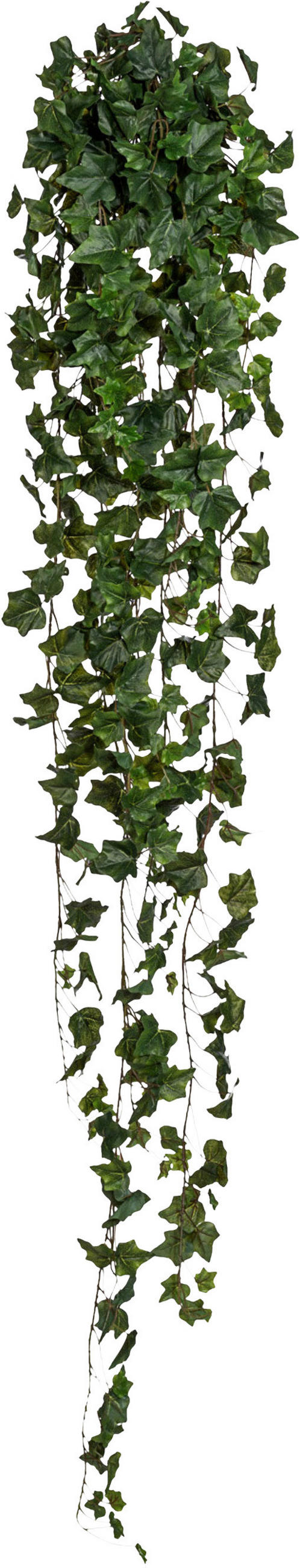 KUNSTPFLANZE Efeu 170 cm  - Grün, Design, Kunststoff (170cm)