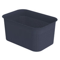 BOX, plast - tmavě modrá, Basics, plast (26,2/18/13cm)