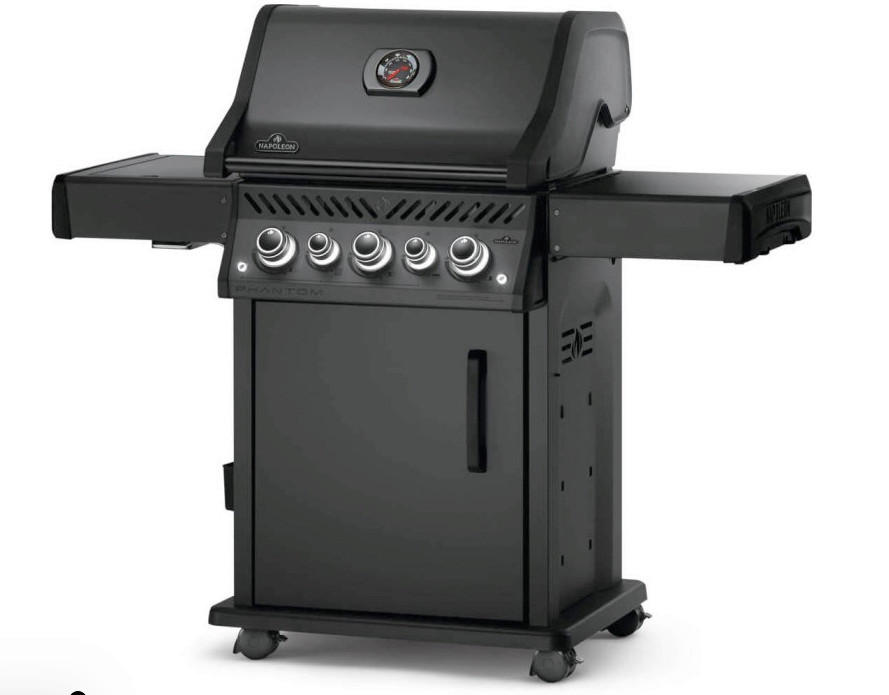 PLINSKI ŽAR  ROGUE PHANTOM - črna, Moderno, kovina (63,5/140/123cm) - Napoleon