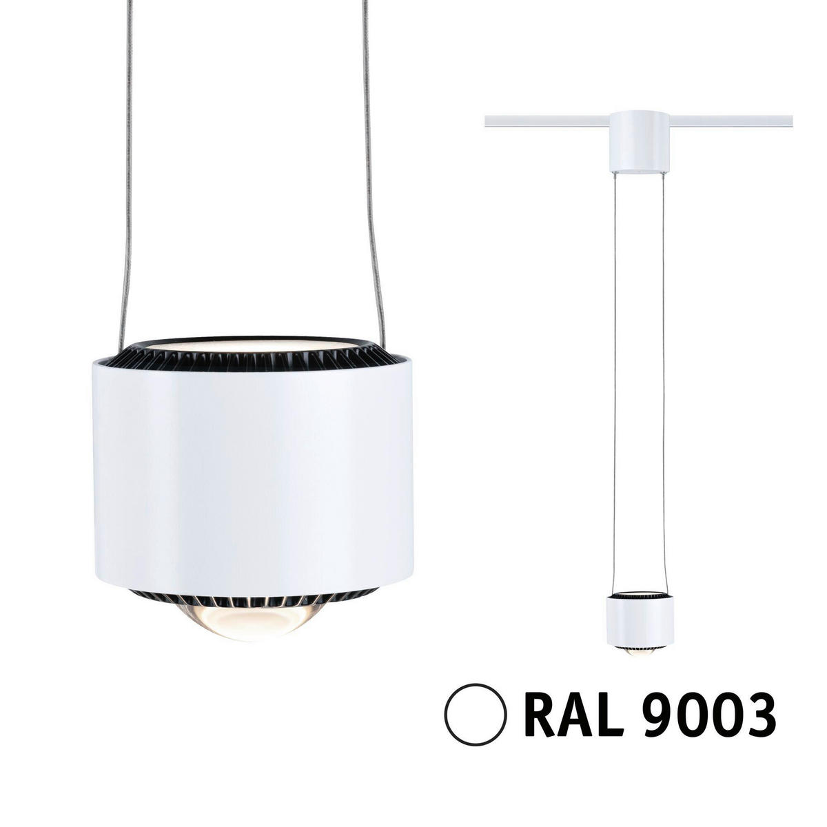 SCHIENENSYSTEM-HÄNGELEUCHTE - Basics (20-150/9,8/8,5cm) - Paulmann
