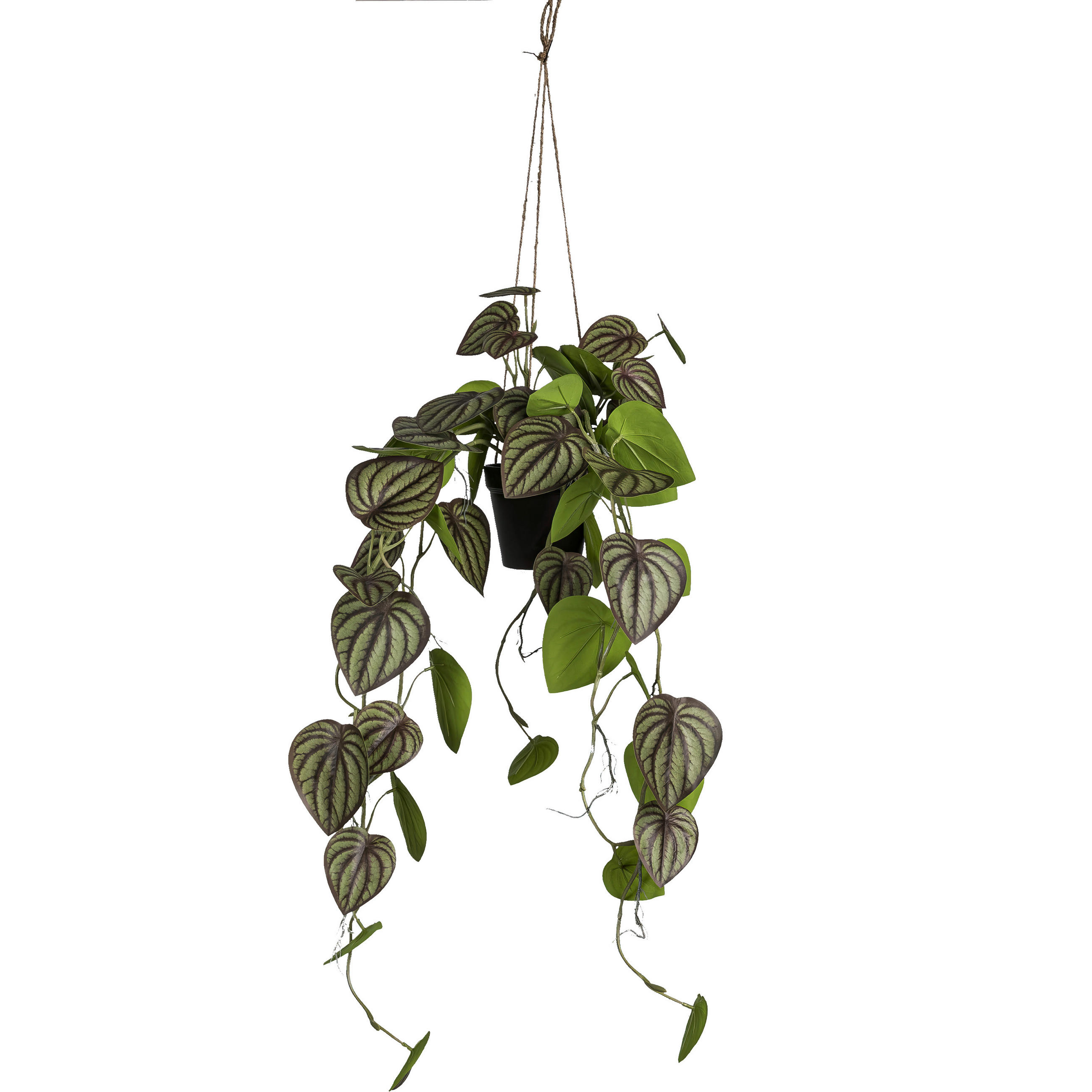 KUNSTPFLANZE 80 cm  - Schwarz/Grün, Basics, Kunststoff (80cm)