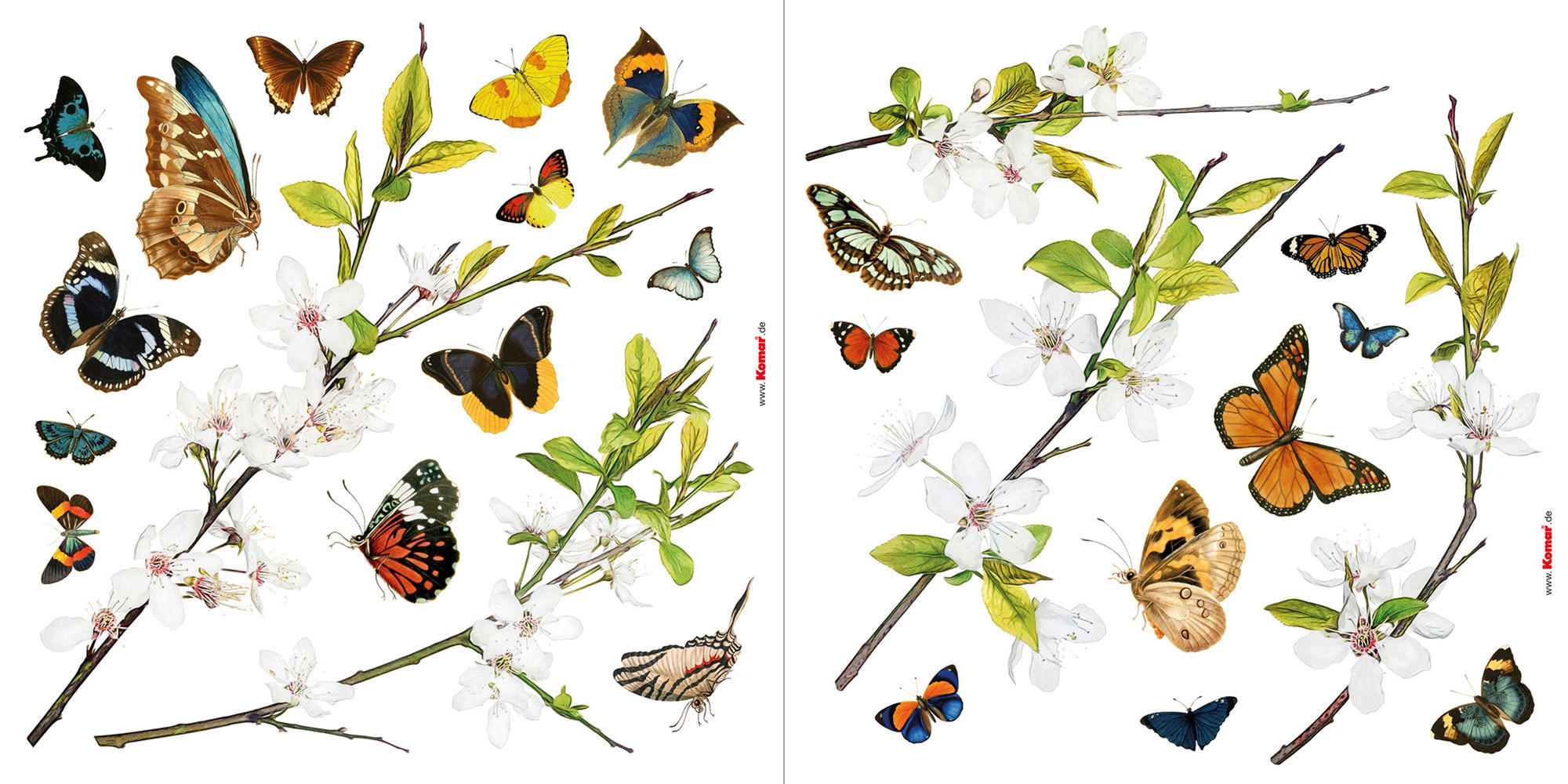 DEKOSTICKER  - Multicolor, Basics, Kunststoff (31/31cm) - Xora