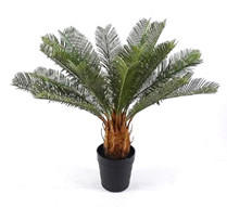 MŰNÖVÉNY - fekete/világosbarna, Basics, műanyag