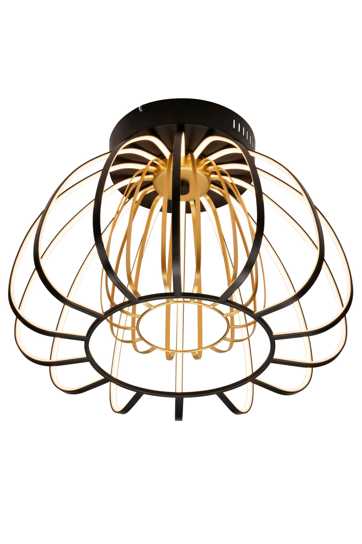 STROPNÍ LED SVÍTIDLO, 44,5/33 cm  - černá/barvy zlata, Design, kov/plast (44,5/33cm) - Novel