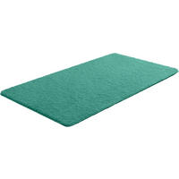 BADEMATTE Grün 60/100 cm  - Grün, Basics, Kunststoff/Textil (60/100cm) - Grund