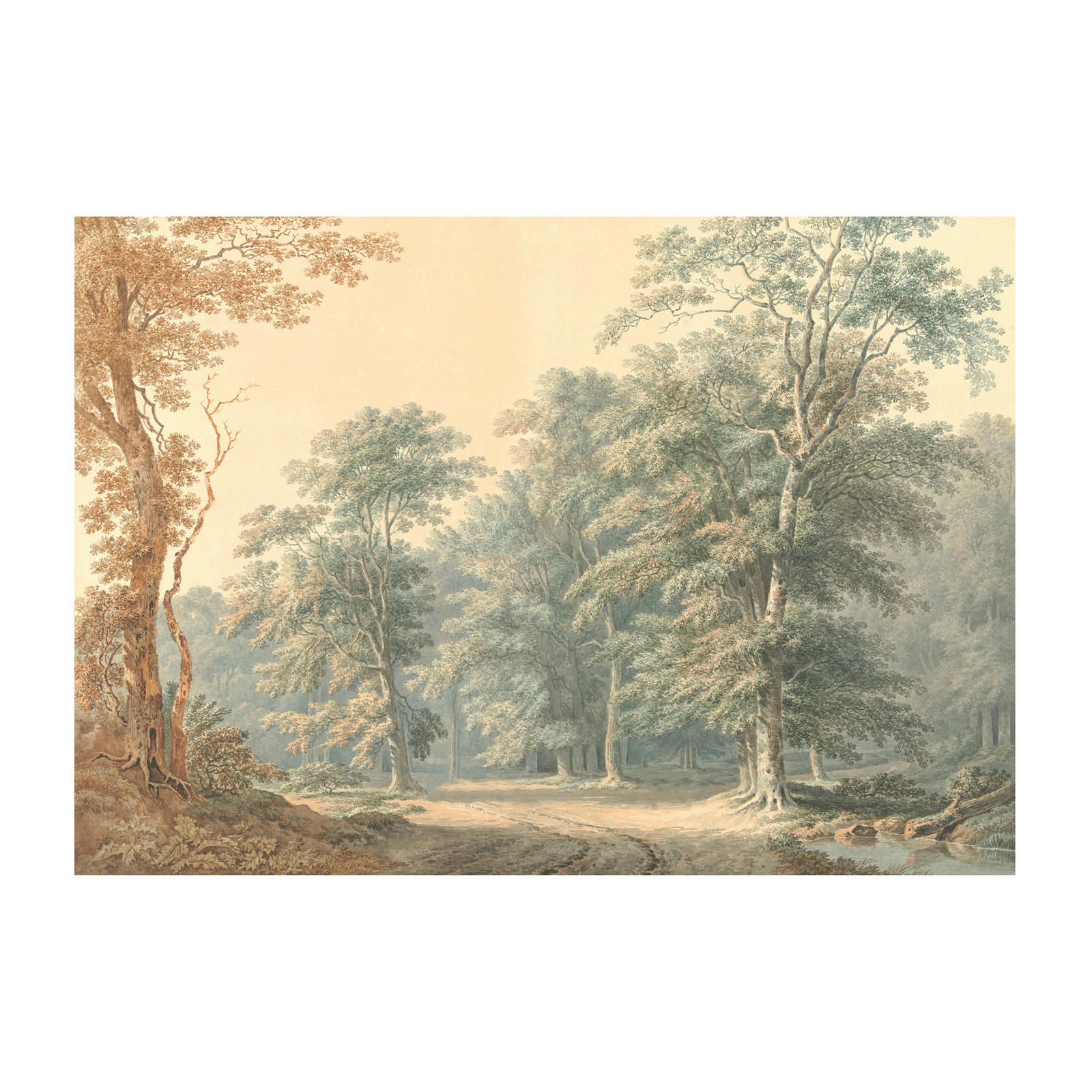 FOTOTAPETE  - Multicolor, Trend, Papier/Kunststoff (400/280cm) - Xora