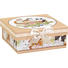 GESCHENKBOX - Multicolor, Trend, Karton (14/6/14cm) - Boxxx GESCHENKBOX - Multicolor, Trend, Karton (14/6/14cm) - Boxxx